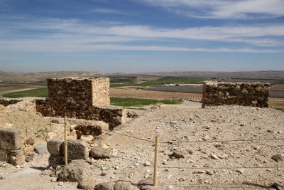 Tel-Arad_27-2-2020 (59).JPG