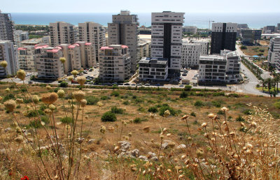 Haifa_13-6-2020 (8).JPG
