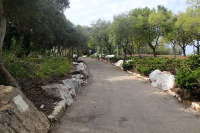 Karmiel_7-11-2020 (6).JPG
