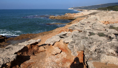 Ahziv_18-12-2020 (28).JPG