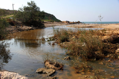Ahziv_18-12-2020 (11).JPG