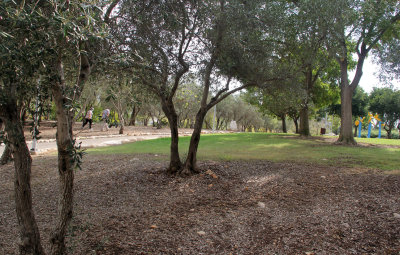 Karmiel_7-11-2020 (4).JPG