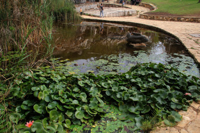 Karmiel_7-11-2020 (99).JPG