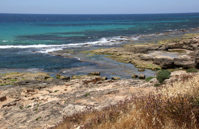 Ahziv_5-6-2020 (39).JPG