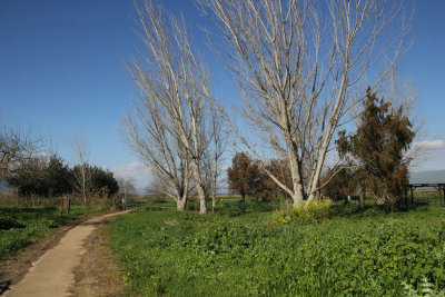 Agamon-Hahula_5-3-2021 (82).JPG