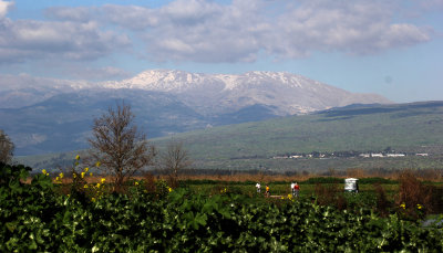Agamon-Hahula_5-3-2021 (189).JPG