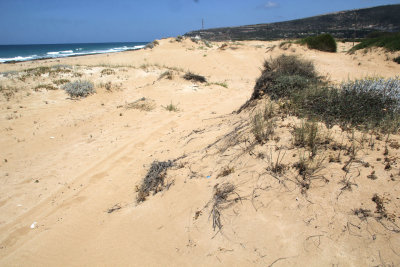 Ahziv_24-5-2021 (54).JPG