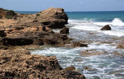 Ahziv_24-5-2021 (19).JPG