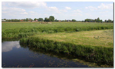 Friesland_10-5-2009 (5).jpg