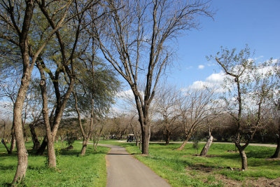 Agamon-Hahula_5-3-2021 (13).JPG