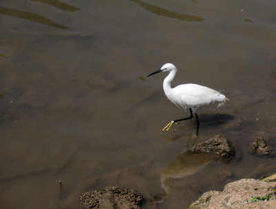 Tel-Aviv-Yarkon-Park_24-4-2021 (74).JPG