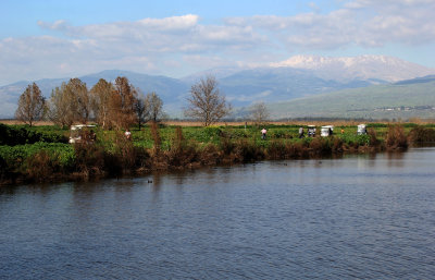 Agamon-Hahula_5-3-2021 (188).JPG