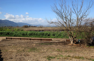 Agamon-Hahula_5-3-2021 (91).JPG