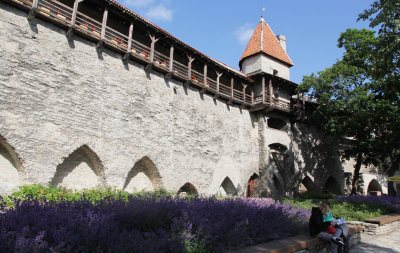 Tallinn_9-7-2015 (136).JPG