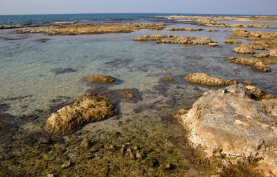 Ahziv_18-11-2021 (70).JPG