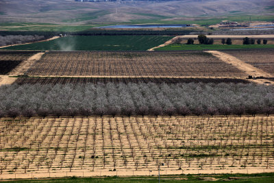 Tel-Arad_27-2-2020 (41).JPG