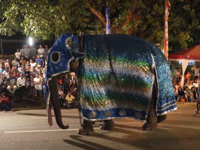 P1050431.JPG