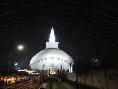 P1050583.JPG