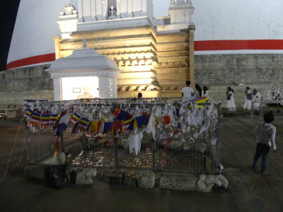 P1050590.JPG