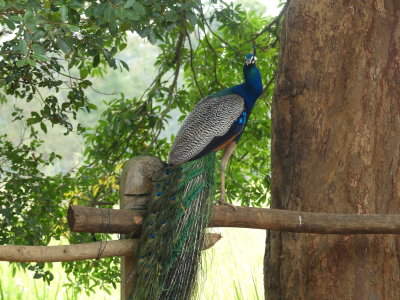 P1050624.JPG