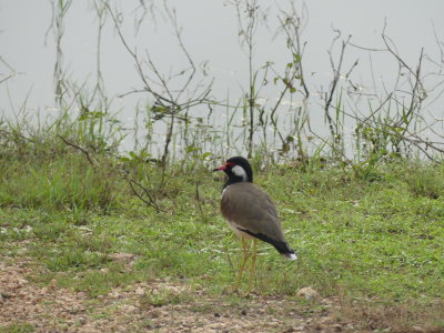 P1050726.JPG