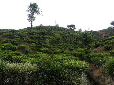 P1050812.JPG