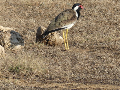 P1050844.JPG