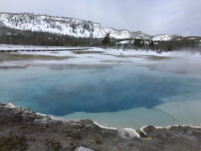 Yellowstone 2018