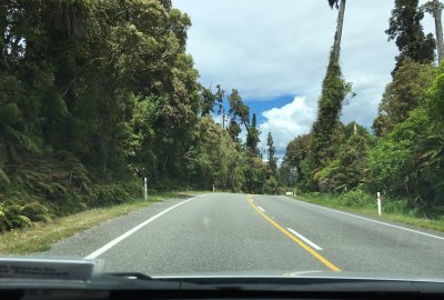 Driving in New Zealand