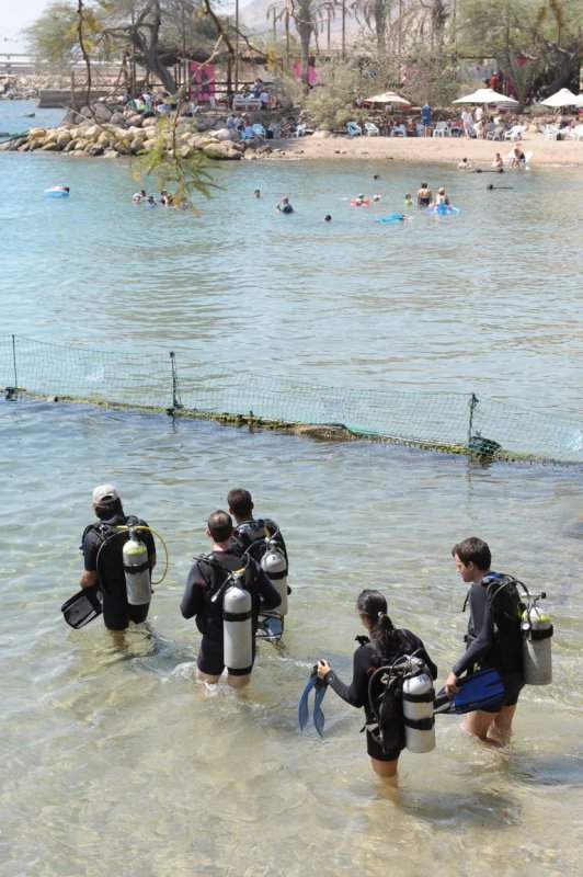 EILAT 2012_0197.JPG