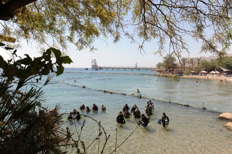 EILAT 2012_0198.JPG