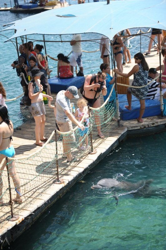 EILAT 2012_0242.JPG