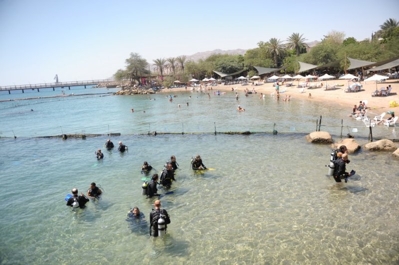 EILAT 2012_0244.JPG