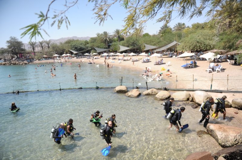 EILAT 2012_0245.JPG
