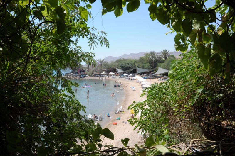 EILAT 2012_0259.JPG