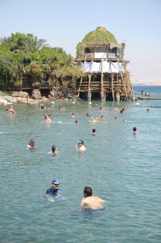 EILAT 2012_0308.JPG