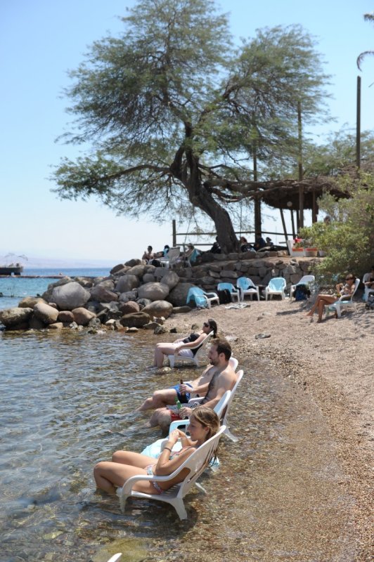 EILAT 2012_0321.JPG