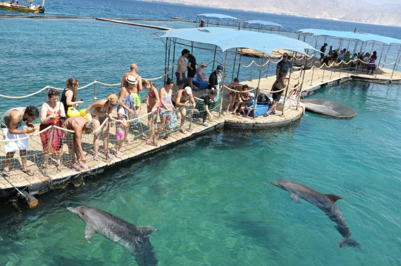 EILAT 2012_0382.JPG