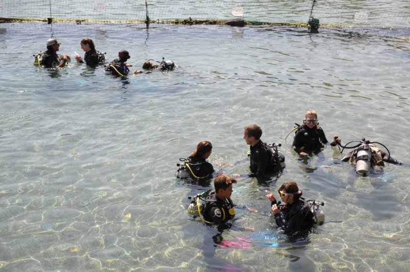 EILAT 2012_0428.JPG