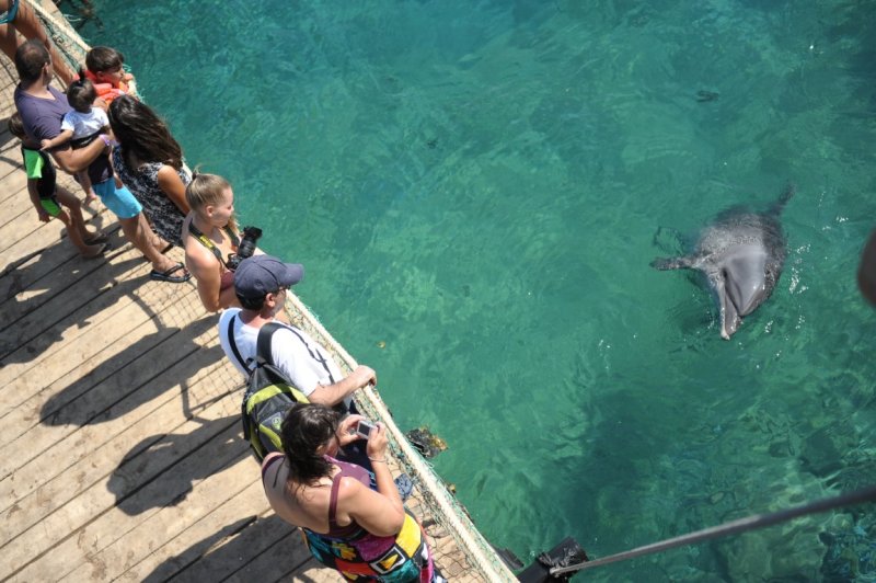 EILAT 2012_0448.JPG