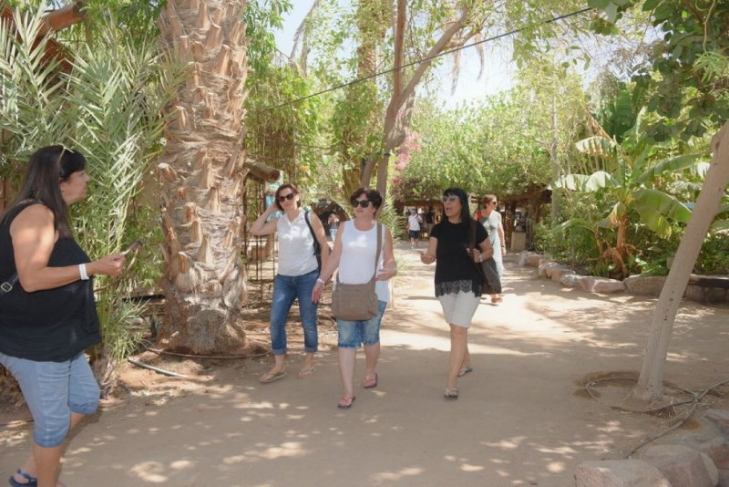 EILAT_2016_0034.JPG