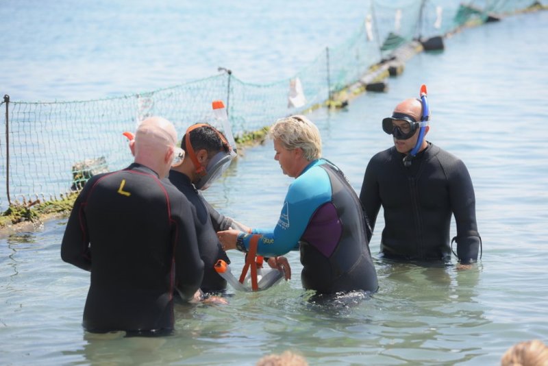 EILAT_2016_0139.JPG