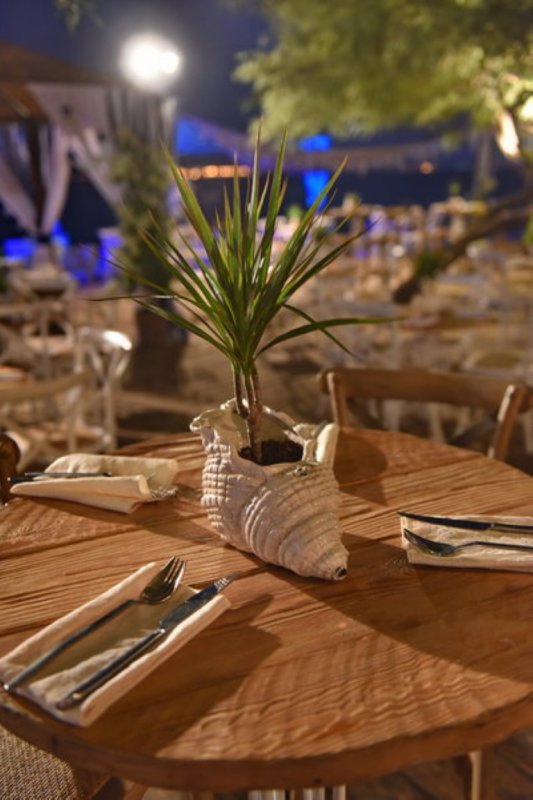 EILAT_2016_0259.JPG
