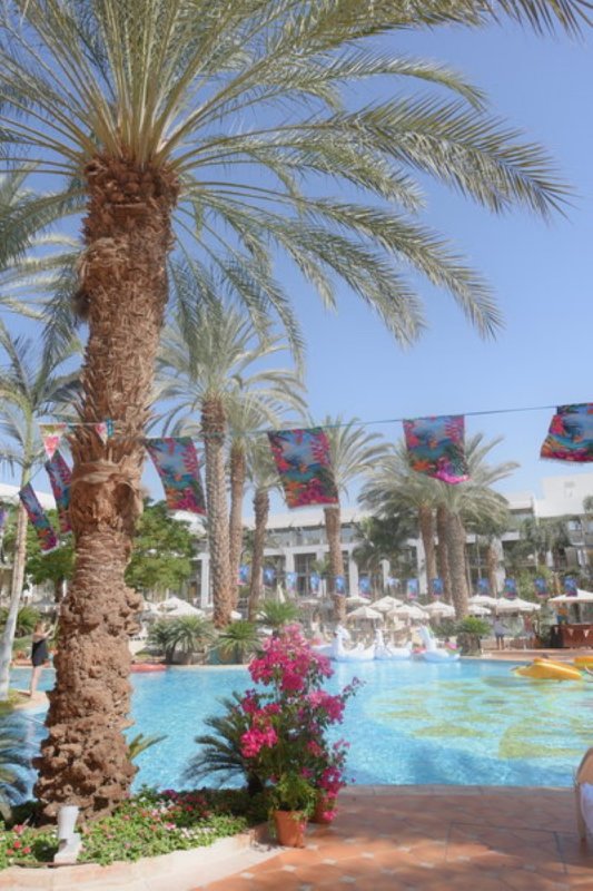 EILAT_2016_0840.JPG
