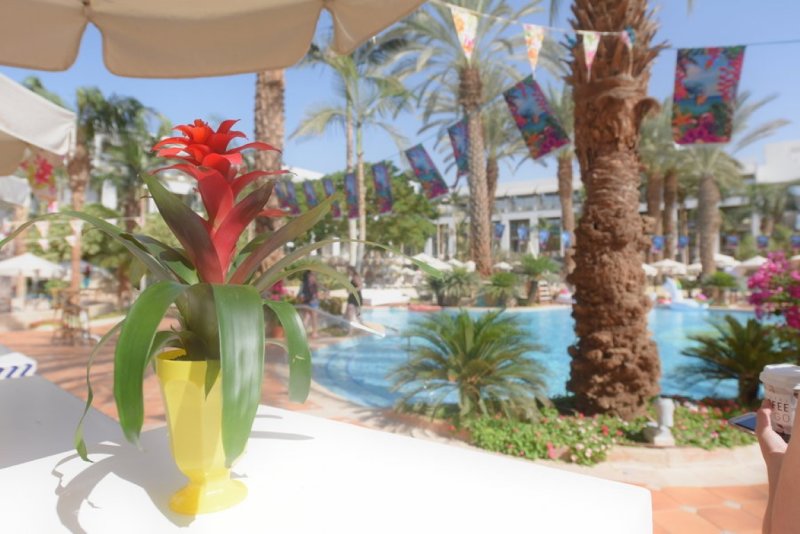 EILAT_2016_0841.JPG