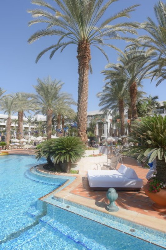 EILAT_2016_0845.JPG
