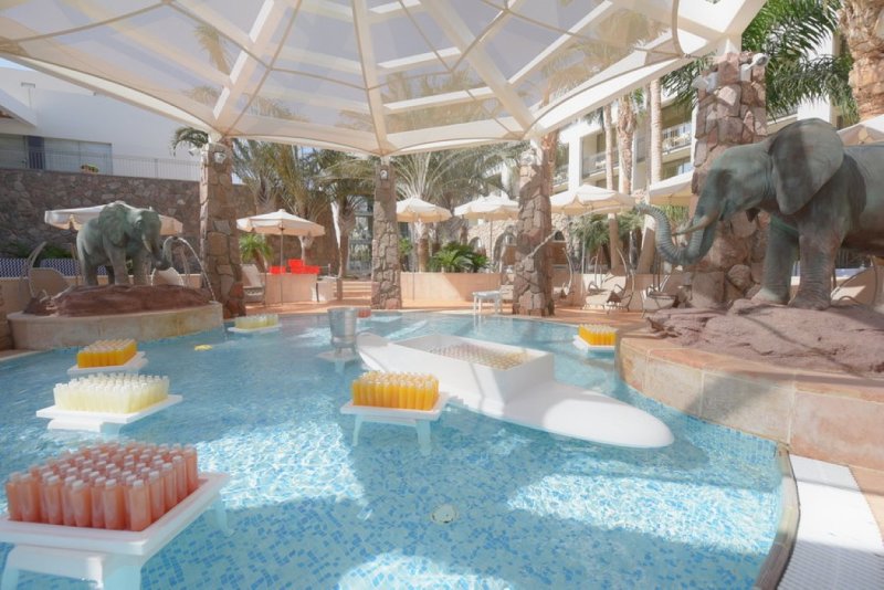 EILAT_2016_0852.JPG