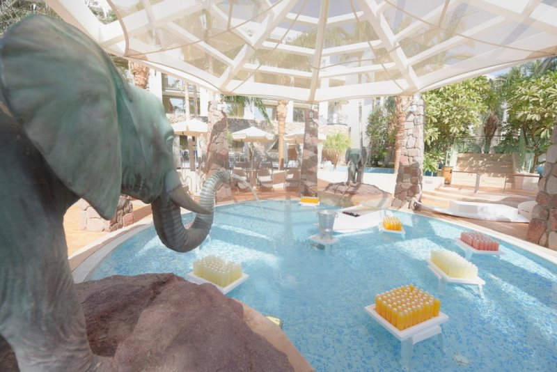 EILAT_2016_0853.JPG