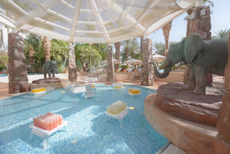 EILAT_2016_0854.JPG