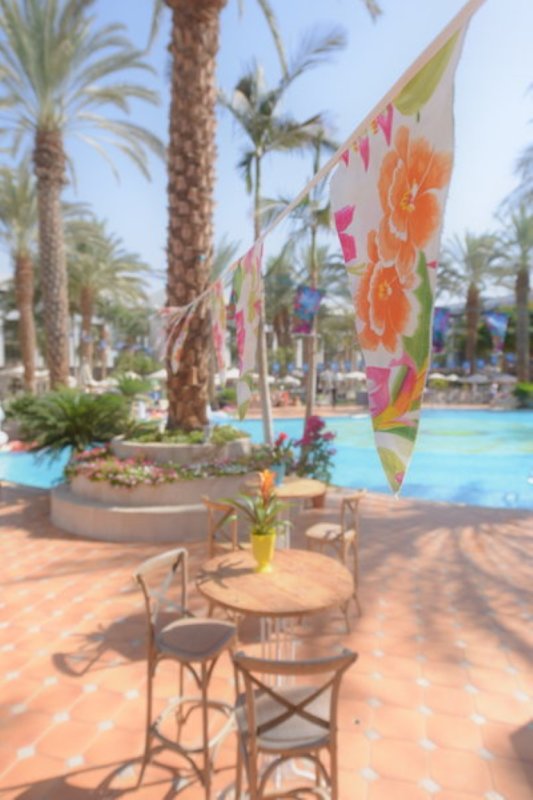 EILAT_2016_0856.JPG